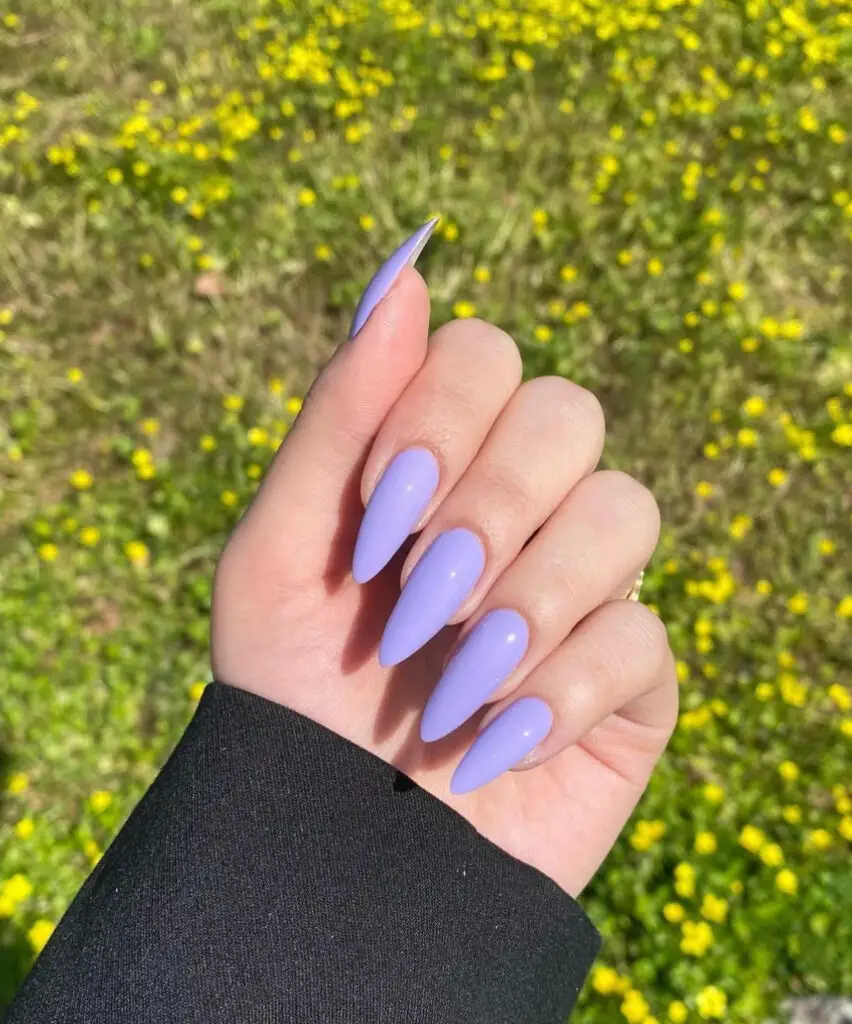 Simple Purple Summer Nails