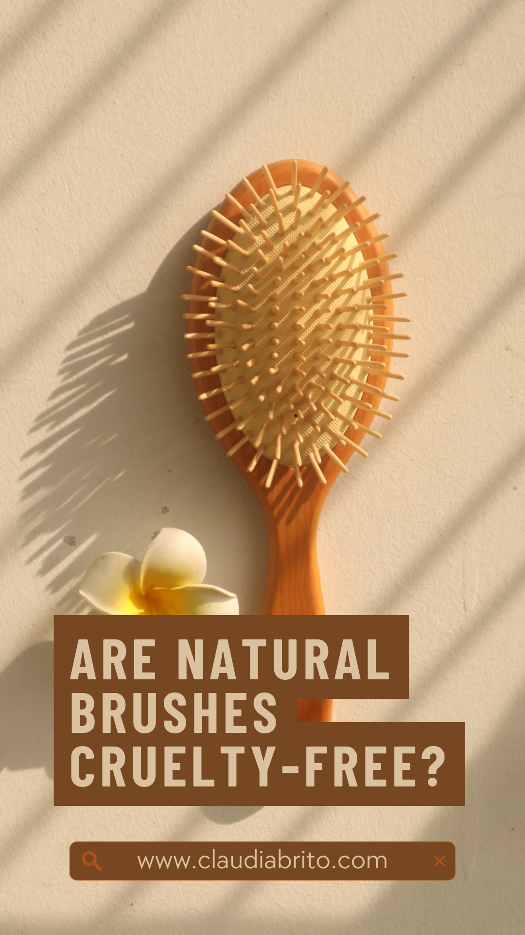 Are Natural Hair Brushes Cruelty-Free?