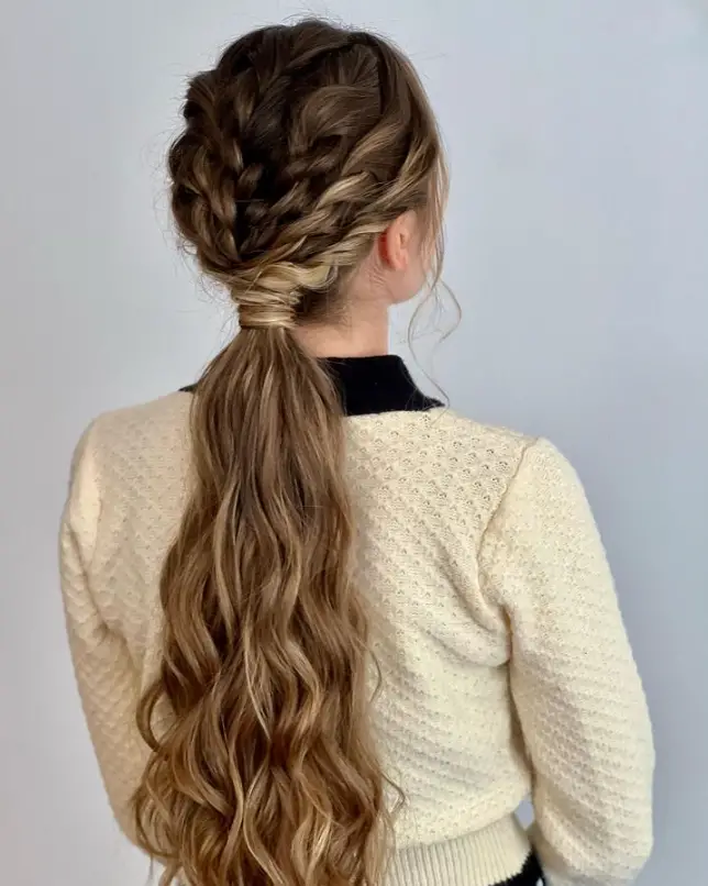 Braids Into A Ponytail 