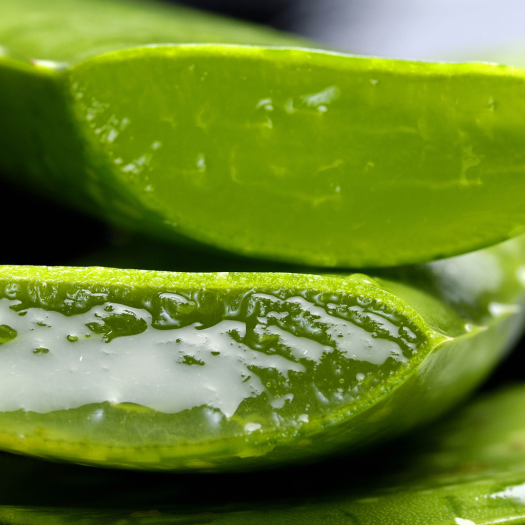 Aloe Vera Moisturizer