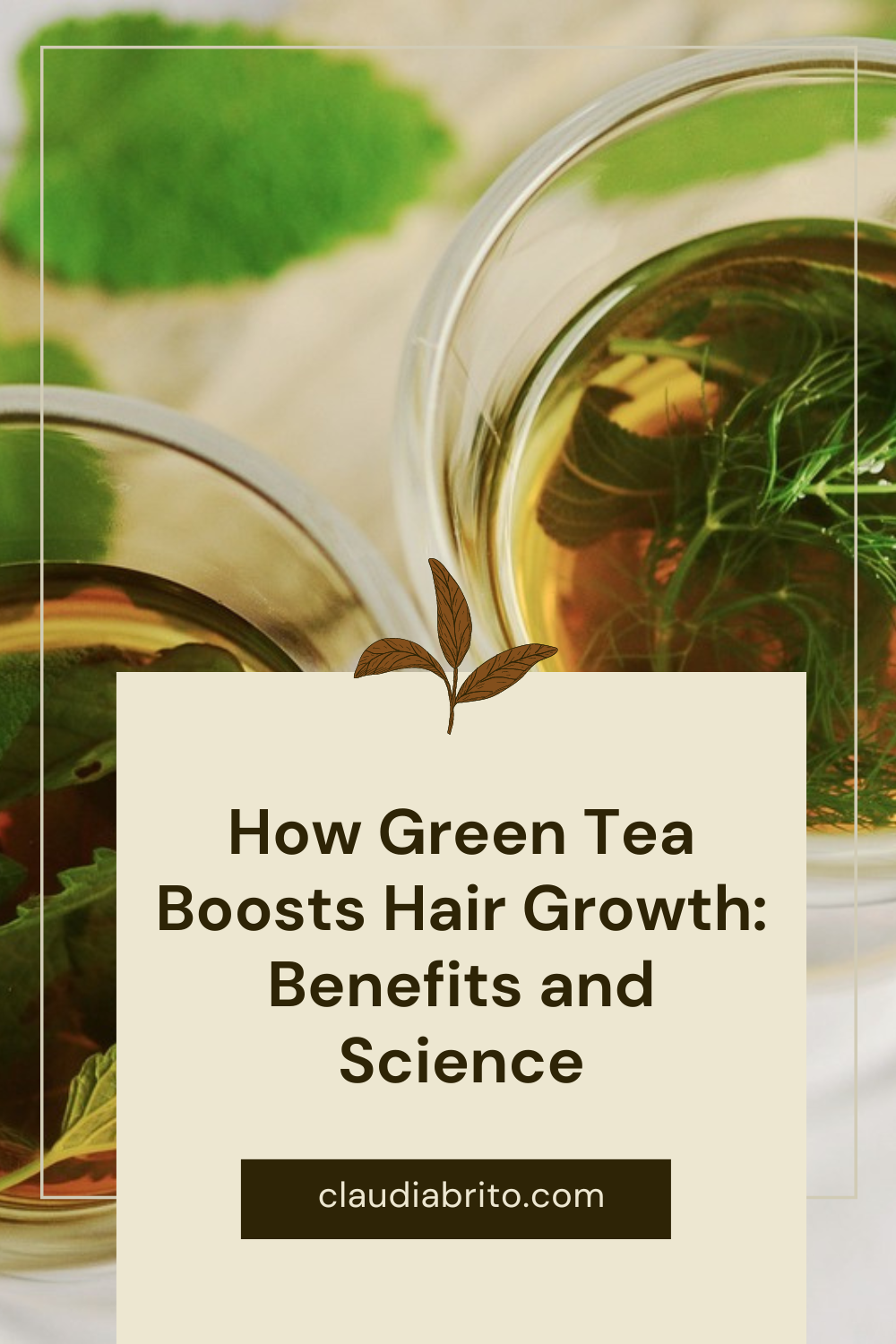 How Green Tea Boosts Hair Growth: Benefits and Science