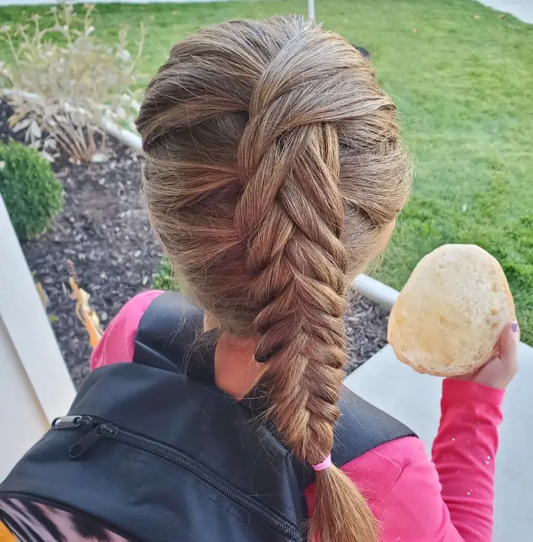 Fishtail Braid Hairstyle 