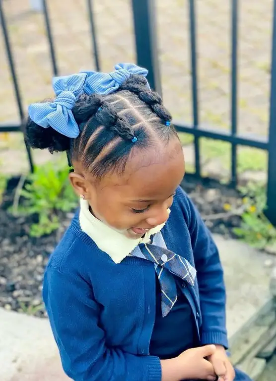 Criss-Cross Braids with Double Puffs and Bow Accents Hairstyle